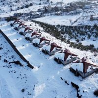 WhatsApp Image 2026-01-26 at 11.46.42 (1) (1)